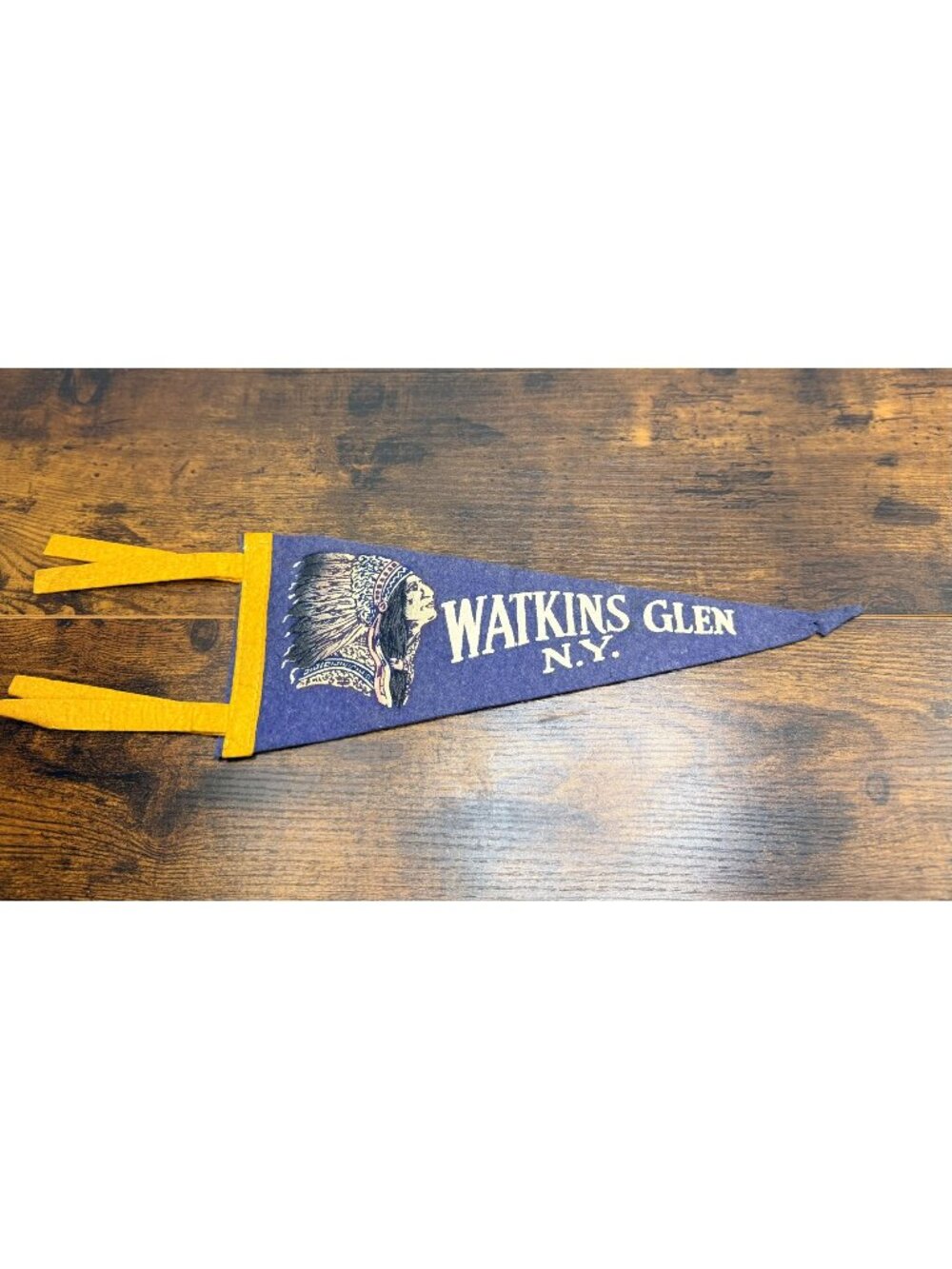 Vintage Watkins Glen N.Y. Felt Pennant With Native American Design 12 inches